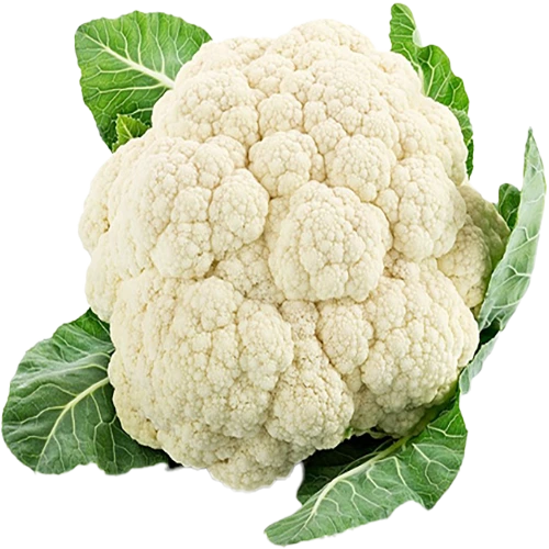 زهرة كيلو اردني