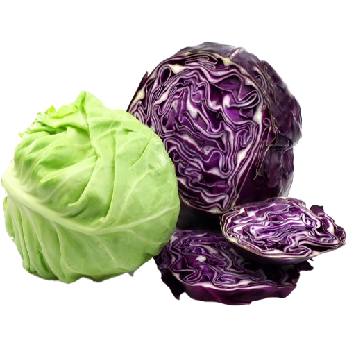 ملفوف اردني كيلو