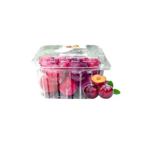 كوجا علبة جنوب افريقي 500 جرام تقريبا