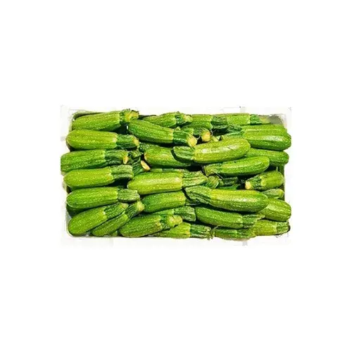 كوسا اردني فلين 4 كجم تقريبا 