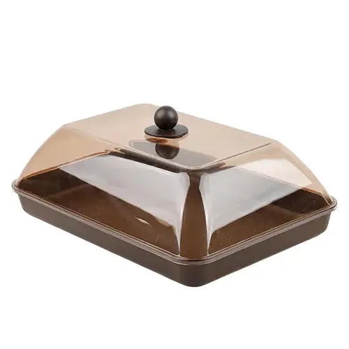 صينية تقديم بغطاء شفاف وسط A-181-Z