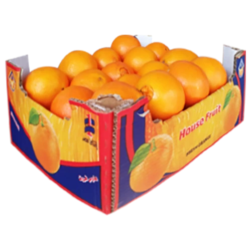 برتقال كرتون مصري كشف 7 كجم تقريبا 