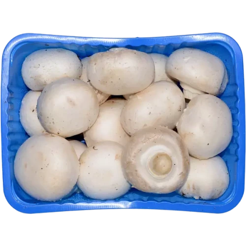 مشروم ابيض علبة 240 جم