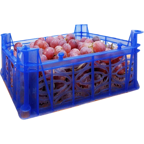 عنب مطبق سله لبناني 1.5 كجم