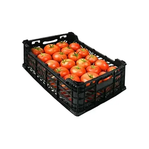 طماطم سوري سلة 5 كجم تقريبا 