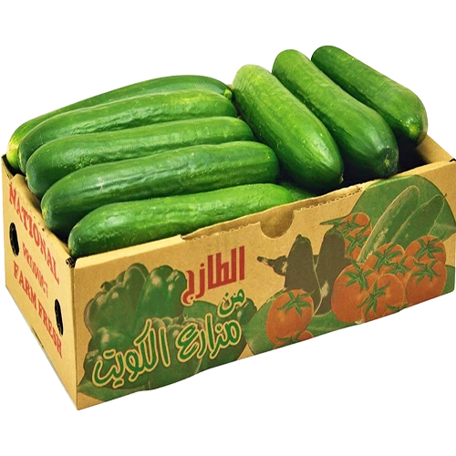 خيار كويتي كرتون 1.500 كجم تقريبا