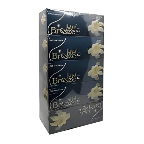 محارم بريز 200 ورقة Pack of 5
