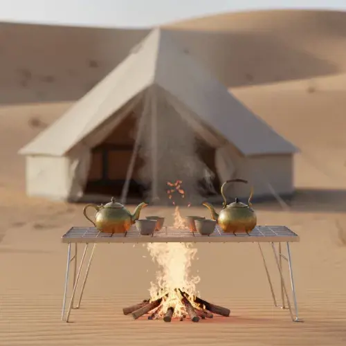 استاند شوي العايش استيل 60*30 سم  ZDBQ-86B