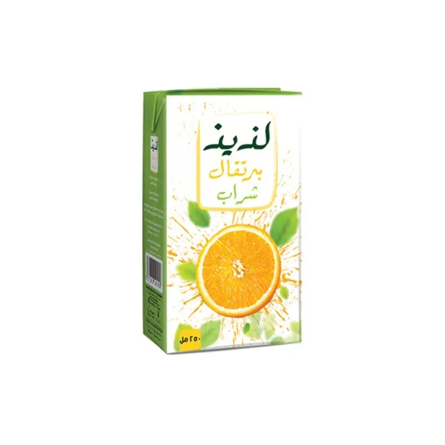 لذيذ شراب البرتقال 250 مل Pack of 24