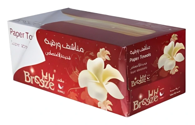 بريز مناشف 100 حبة  Pack of 5